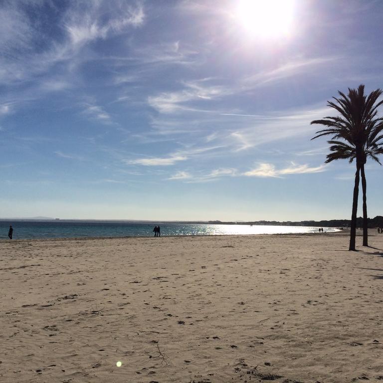 Minerva Beach Port d'Alcúdia Exteriér fotografie